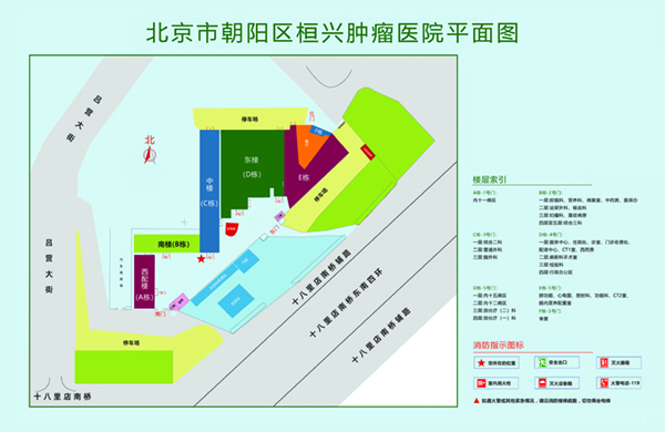 大鸡巴操大骚逼的视频北京市朝阳区桓兴肿瘤医院平面图